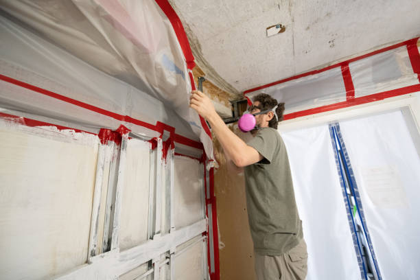 Mold Removal for HVAC Installations in Elizabeth Lake, CA