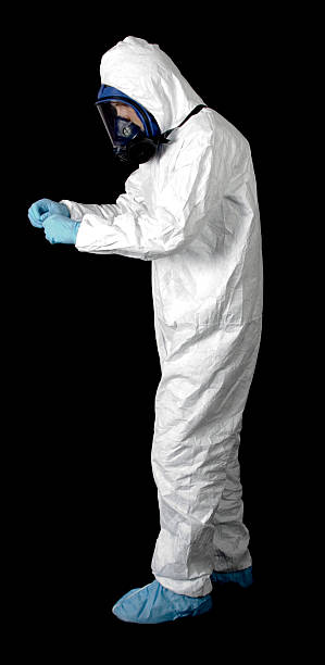 Best Mold Odor Removal Services  in Elizabeth Lake, CA